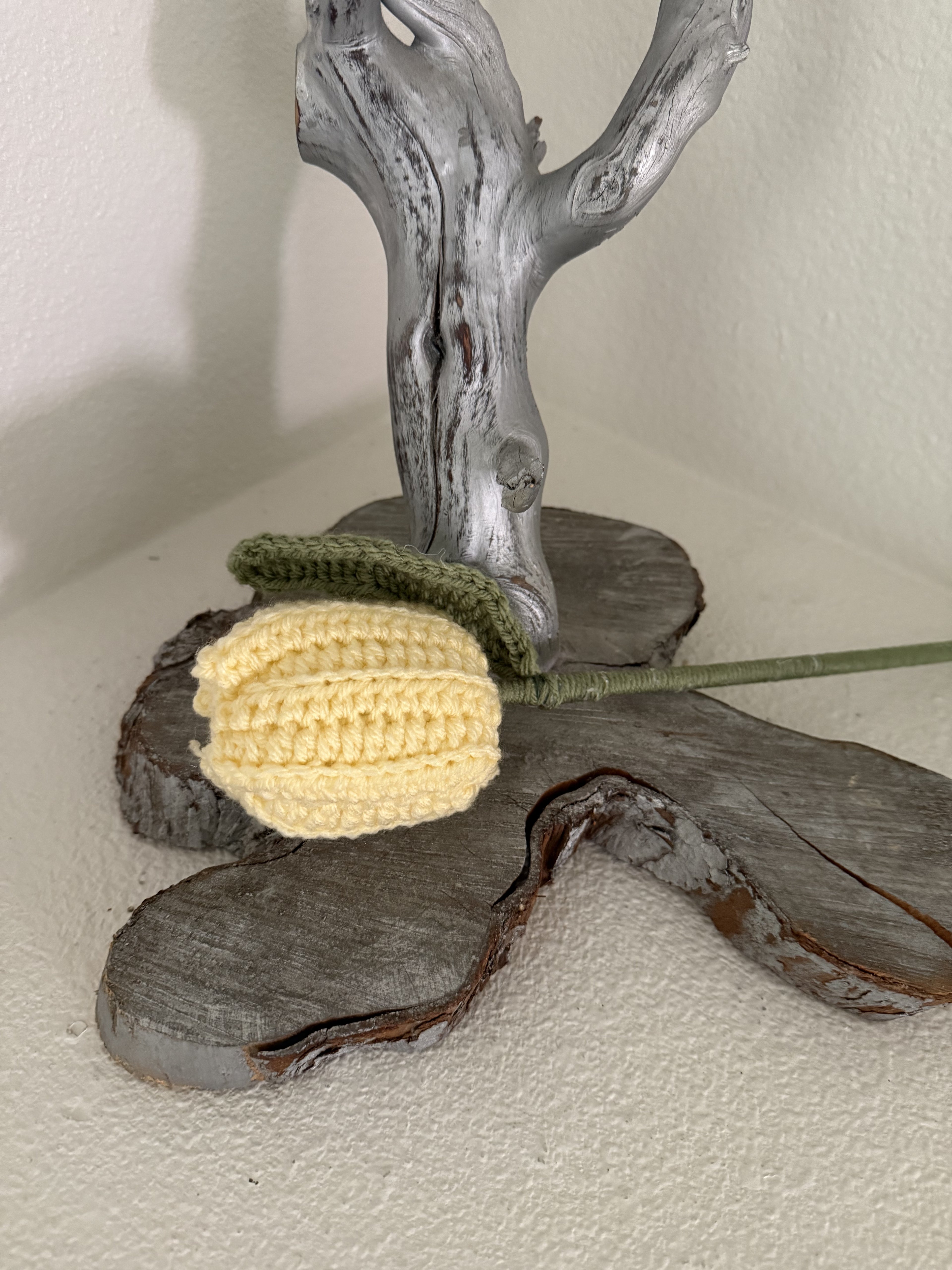 Crocheted Tulip Flowers